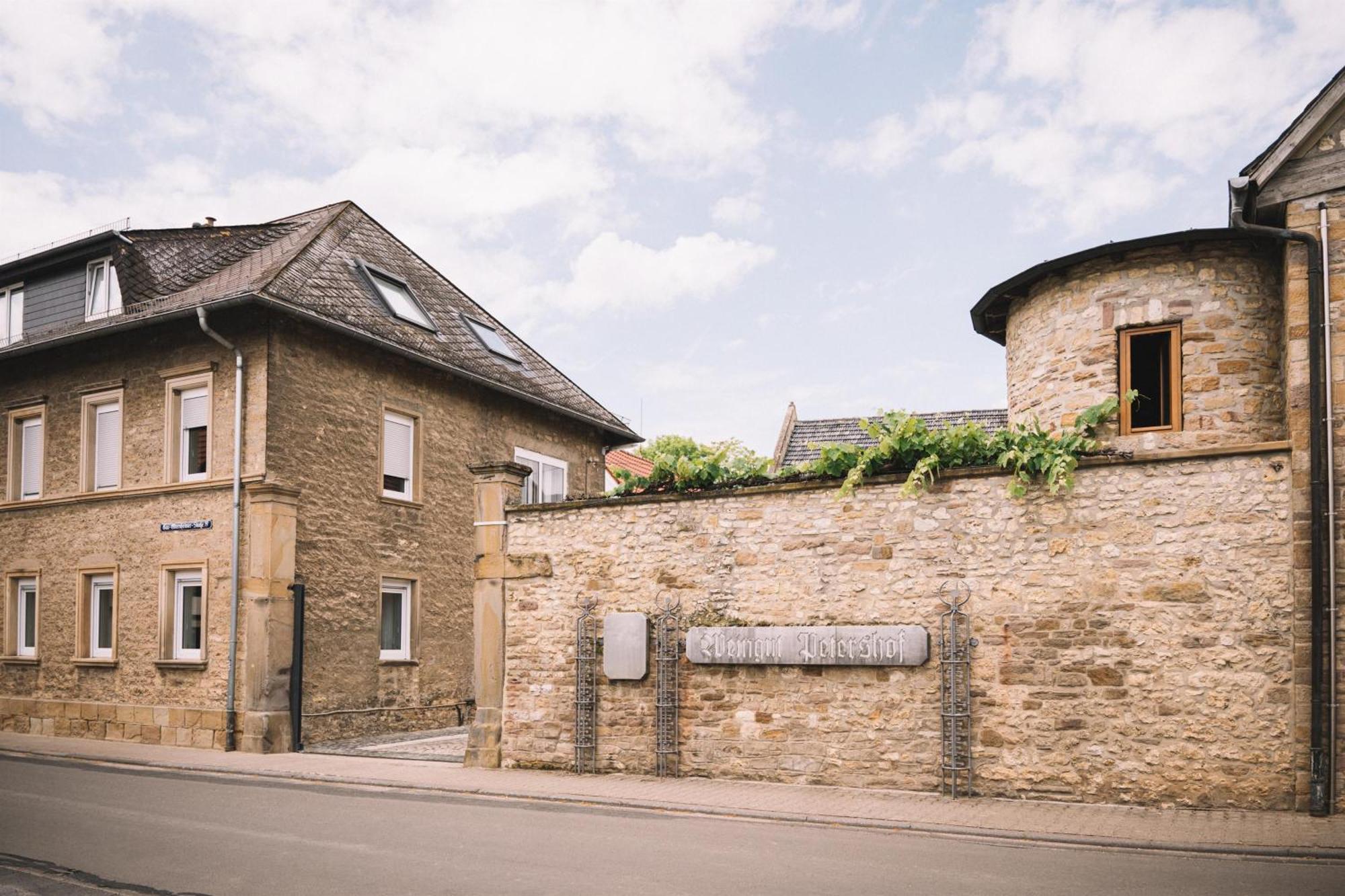 Weingut Petershof Apartman Alzey Kültér fotó