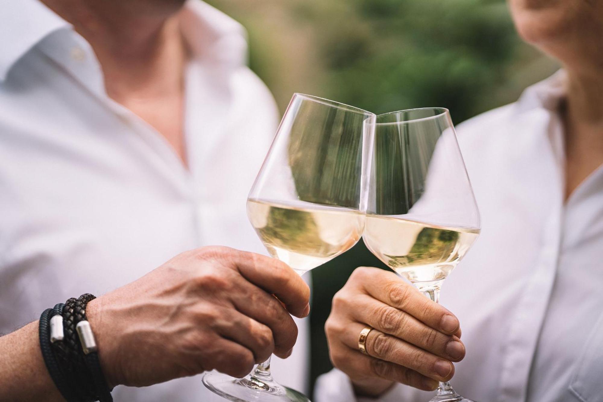 Weingut Petershof Apartman Alzey Kültér fotó
